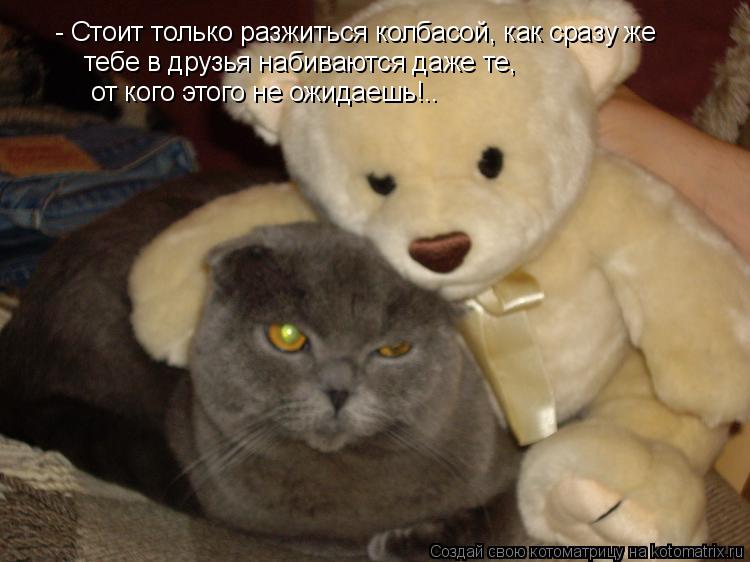 Котоматрица: - Стоит только разжиться колбасой, как сразу же  тебе в друзья набиваются даже те, от кого этого не ожидаешь!..