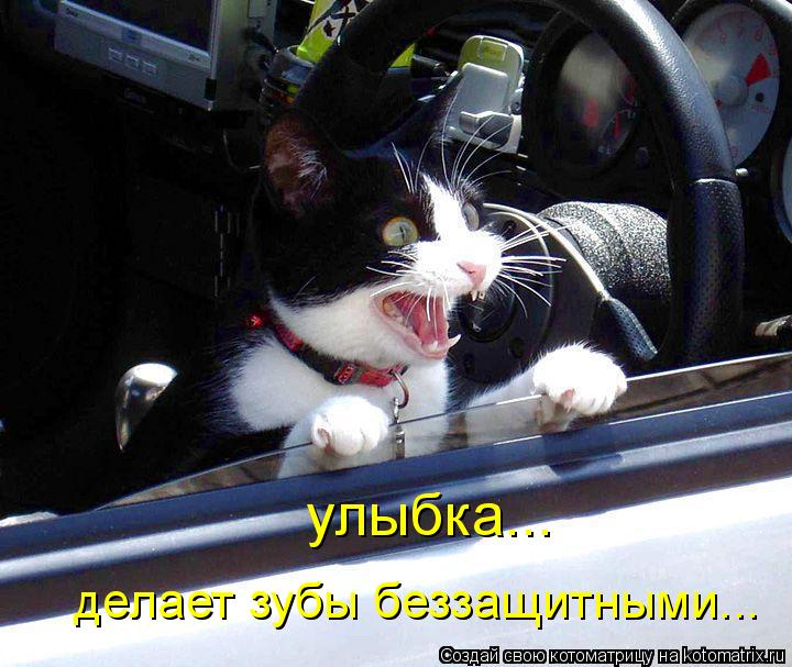 Котоматрица: улыбка... делает зубы беззащитными...