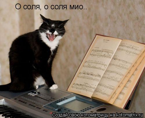 О соля, о соля мио..... Котоматрица: О соля, о соля мио..