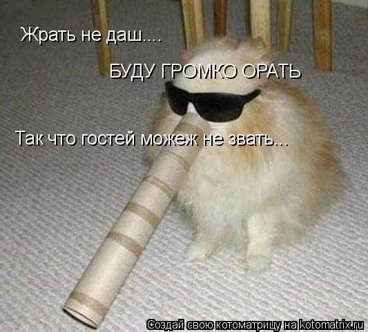 Котоматрица: Жрать не даш.... БУДУ ГРОМКО ОРАТЬ Так что гостей можеж не звать...