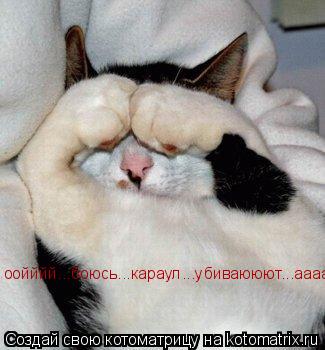 оойййй...боюсь...караул...убиваююют...аааа... Котоматрица: оойййй...боюсь...караул...убиваююют...аааа