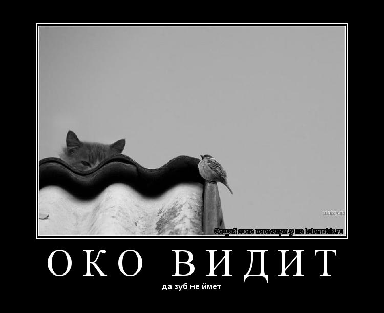 Котоматрица: О К О   В И Д И Т 