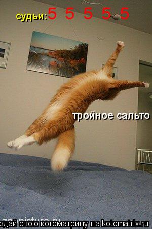 Котоматрица: тройное сальто судьи: 5  5  5  5  5