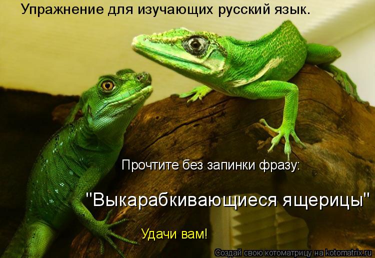 Котоматрица: Прочтите без запинки фразу: "Выкарабкивающиеся ящерицы" Удачи вам! Упражнение для изучающих русский язык.