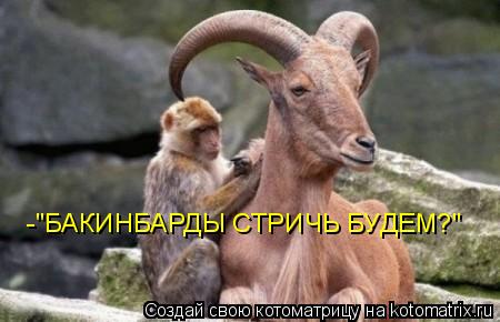 Котоматрица: -"БАКИНБАРДЫ СТРИЧЬ БУДЕМ?"