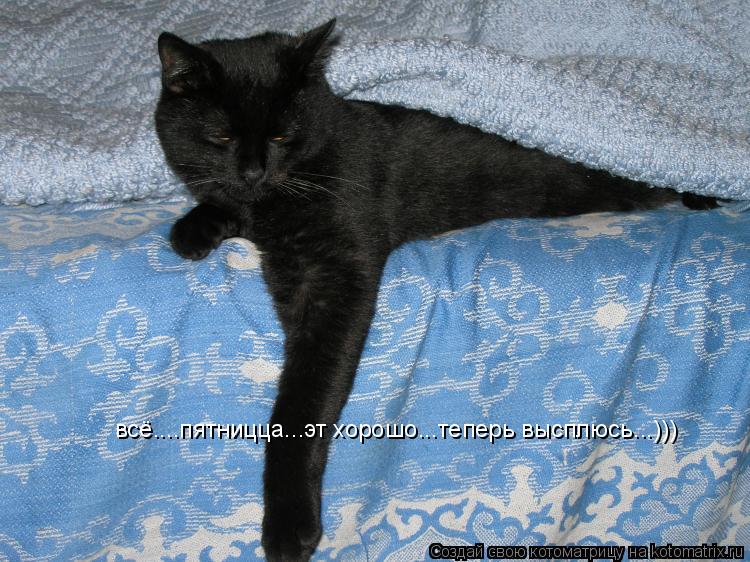 всё....пятницца...эт хорошо...теперь высплюсь...)))... Котоматрица: всё....пятницца...эт хорошо...теперь высплюсь...)))