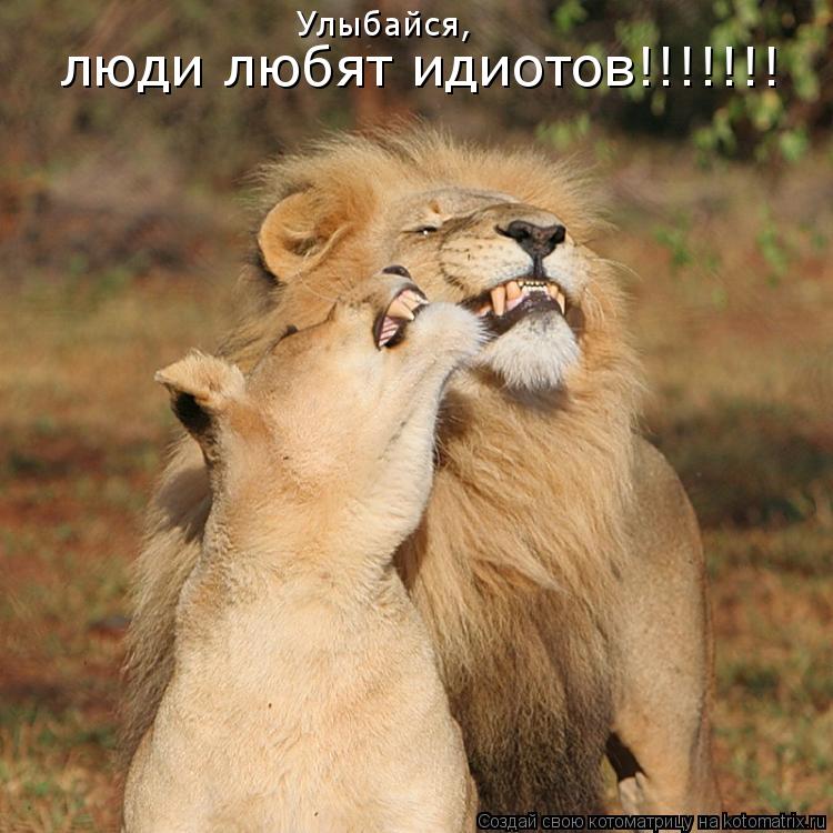 Котоматрица: Улыбайся, люди любят идиотов!!!!!!!