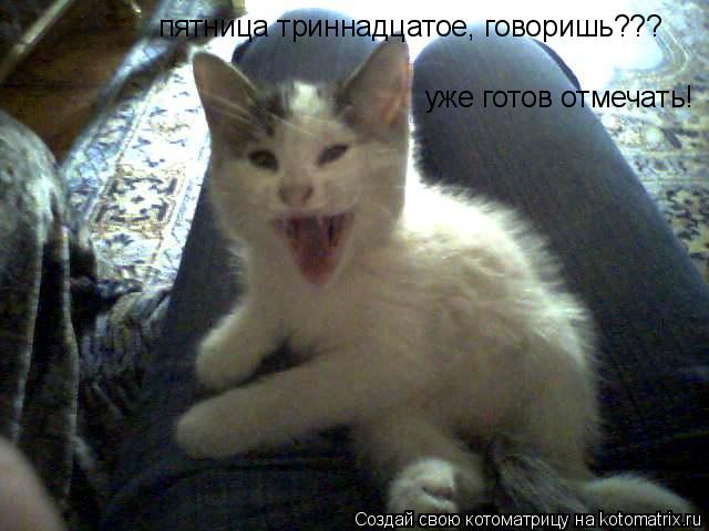 Котоматрица: пятница триннадцатое, говоришь??? уже готов отмечать!