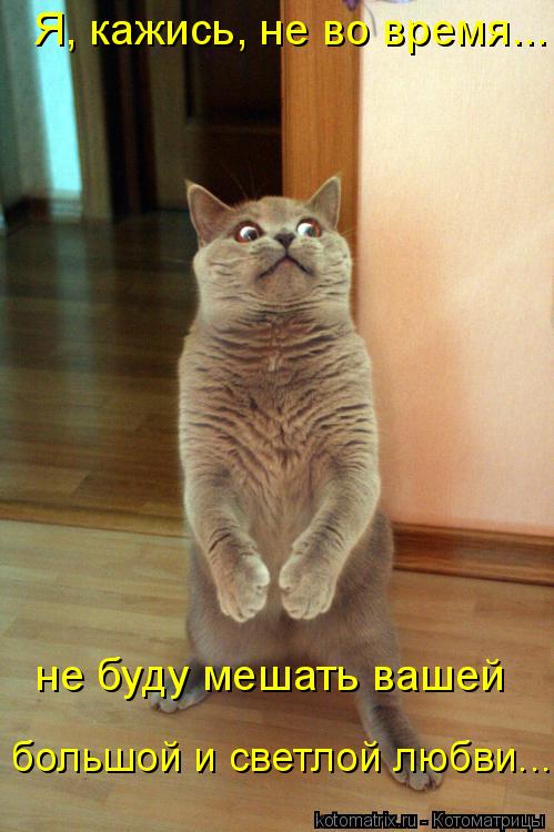 Я, кажись, не во время... не буду мешать вашей большой и светлой любви...... Котоматрица: Я, кажись, не во время... не буду мешать вашей большой и светлой любви...