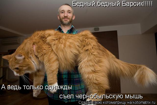 Котоматрица: Бедный,бедный Барсик!!!!! А ведь только однажды съел чернобыльскую мышь
