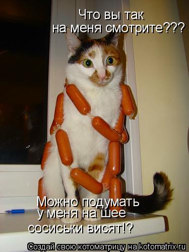 Что вы так на меня смотрите??? Можно подумать у меня на шее сосиськи висят!?... Котоматрица: Что вы так на меня смотрите??? Можно подумать у меня на шее сосиськи висят!?