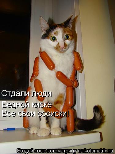 Котоматрица: Отдали люди  Бедной киске Все свои сосиски!
