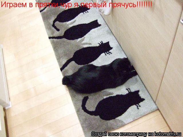 Котоматрица: Играем в прятки,чур я первый прячусь!!!!!!!