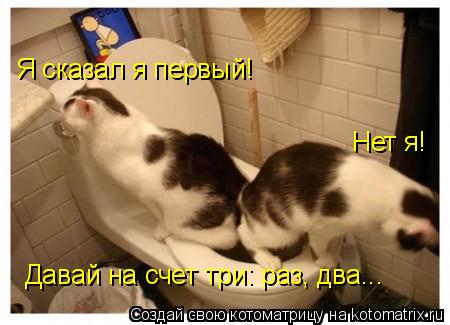 Котоматрица: Я сказал я первый! Нет я! Давай на счет три: раз, два...