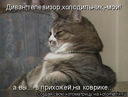 Котоматрица: Диван,телевизор,холодильник,-мои! а вы...-в прихожей,на коврике...