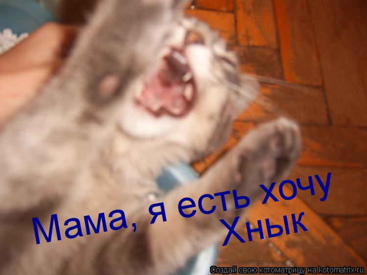 Мама, я есть хочу Хнык... Котоматрица: Мама, я есть хочу Хнык