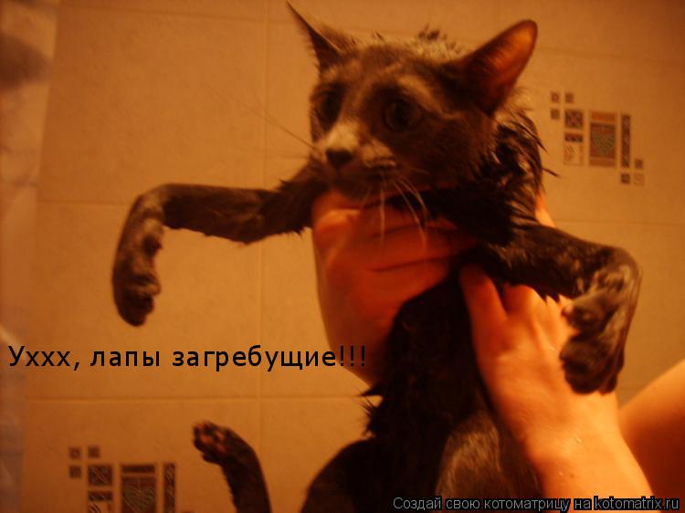 Котоматрица: Уххх, лапы загребущие!!!