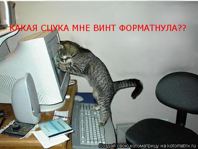 КАКАЯ СЦУКА МНЕ ВИНТ ФОРМАТНУЛА??... Котоматрица: КАКАЯ СЦУКА МНЕ ВИНТ ФОРМАТНУЛА??