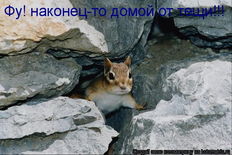 Котоматрица: Фу! наконец-то домой от тещи!!!