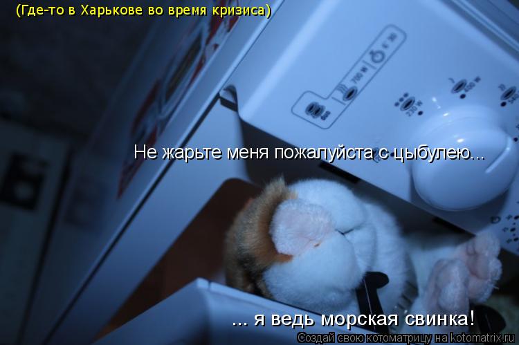 (Где-то в Харькове во время кризиса) Не жарьте меня пожалуйста c цыбулею... ... я ведь морская свинка... Котоматрица: (Где-то в Харькове во время кризиса) Не жарьте меня пожалуйста c цыбулею... ... я ведь морская свинка!