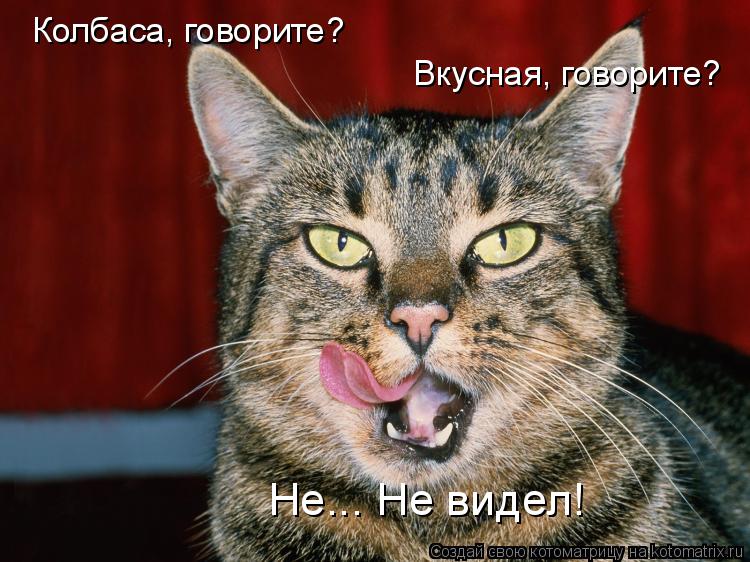 Колбаса, говорите? Вкусная, говорите? Не... Не видел!... Котоматрица: Колбаса, говорите? Вкусная, говорите? Не... Не видел!