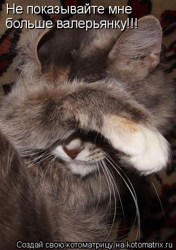 Котоматрица: Не показывайте мне больше валерьянку!!!