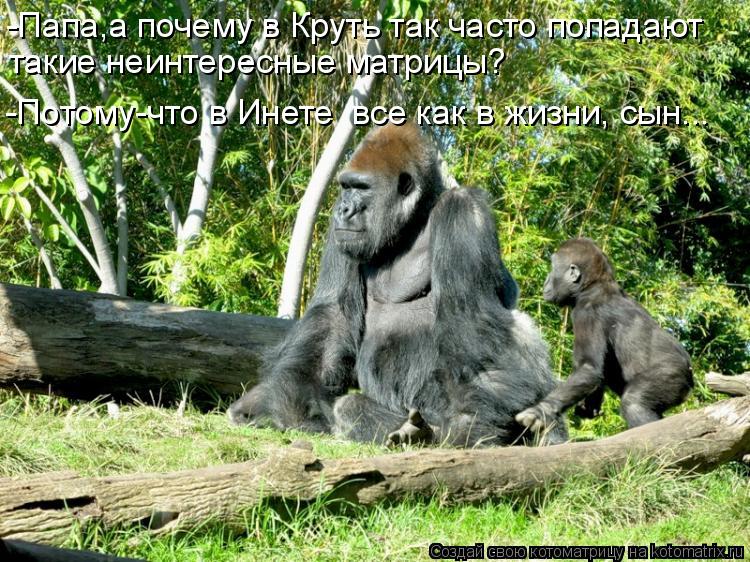 Котоматрица: -Папа,а почему в Круть так часто попадают такие неинтересные матрицы? -Потому-что в Инете  все как в жизни, сын...