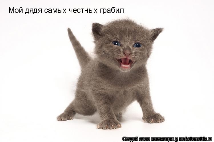 Котоматрица: Мой дядя самых честных грабил