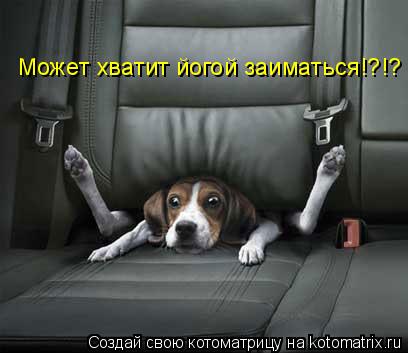 Котоматрица: Может хватит йогой заиматься!?!?