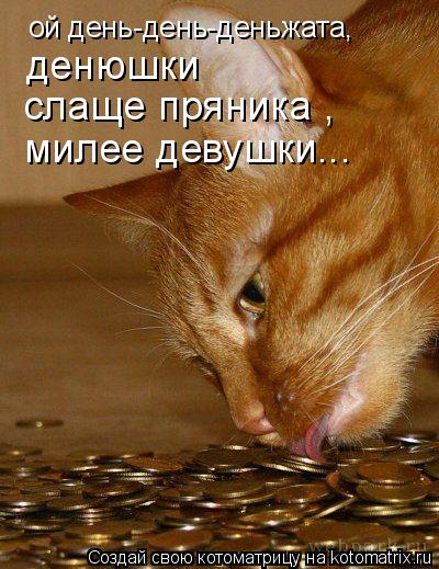 Котоматрица: ой день-день-деньжата, денюшки слаще пряника , милее девушки...