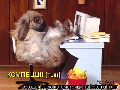 Котоматрица: КОМПЕЦЦ!! [тын]