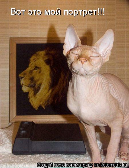 Котоматрица: Вот это мой портрет!!!