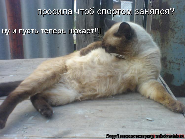 Котоматрица: просила чтоб спортом занялся? ну и пусть теперь нюхает!!!