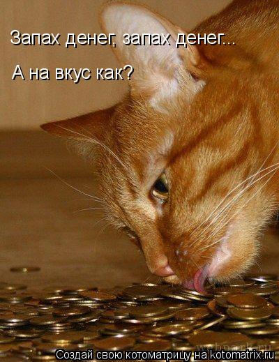 Котоматрица: Запах денег, запах денег... А на вкус как?