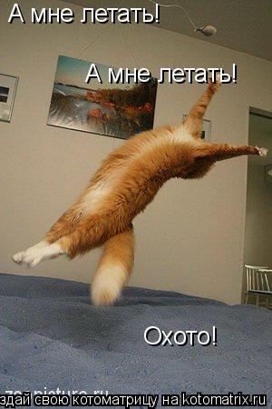 Котоматрица: А мне летать! А мне летать! Охото!