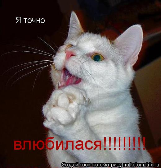 Котоматрица: Я точно влюбилася!!!!!!!!!