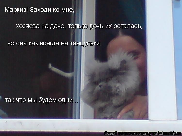 Котоматрица: Маркиз! Заходи ко мне,  хозяева на даче, только дочь их осталась, но она как всегда на танцульки.. так что мы будем одни...