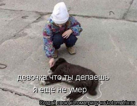 Котоматрица: девочка что ты делаешь я ещё не умер