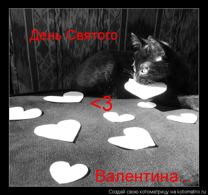 Котоматрица: День Святого Валентина... <3