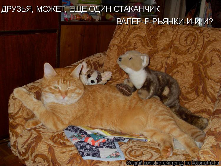 Котоматрица: ДРУЗЬЯ, МОЖЕТ, ЕЩЕ ОДИН СТАКАНЧИК  ДРУЗЬЯ, МОЖЕТ, ЕЩЕ ОДИН СТАКАНЧИК  ВАЛЕР-Р-РЬЯНКИ-И-И-И?