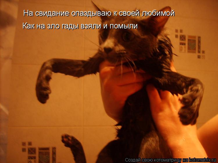 Котоматрица: На свидание опаздываю к своей любимой Как на зло гады взяли и помыли