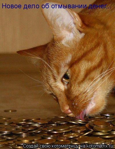 Котоматрица: Новое дело об отмывании денег...