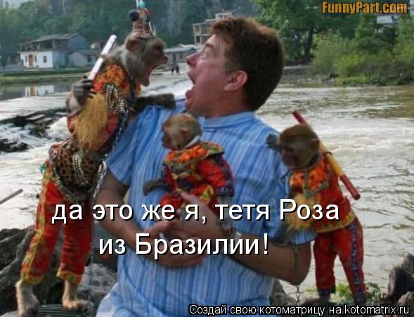 Котоматрица: да это же я, тетя Роза из Бразилии!