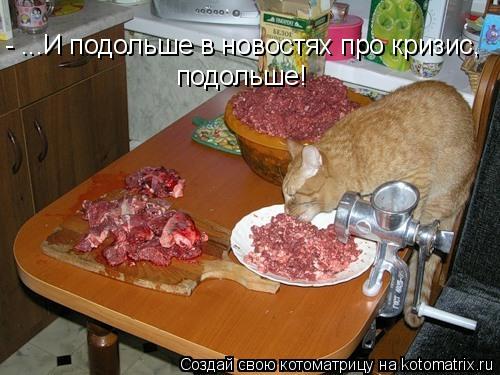 Котоматрица: - ...И подольше в новостях про кризис, подольше!