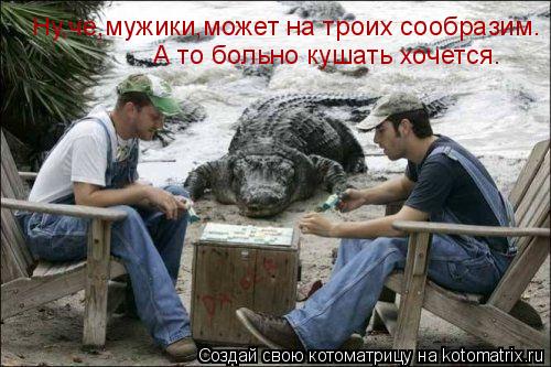 Котоматрица: Ну,че,мужики,может на троих сообразим. А то больно кушать хочется.