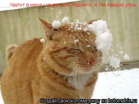 Хватит в меня швыряться. Надоело. и так каждое утро. Хватит в меня швыряться. Надоело. и так каждое ... Котоматрица: Хватит в меня швыряться. Надоело. и так каждое утро. Хватит в меня швыряться. Надоело. и так каждое утро.