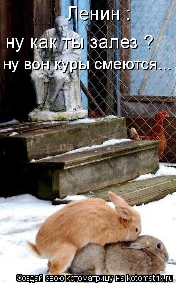 Котоматрица: Ленин : ну как ты залез ?  ну вон куры смеются...