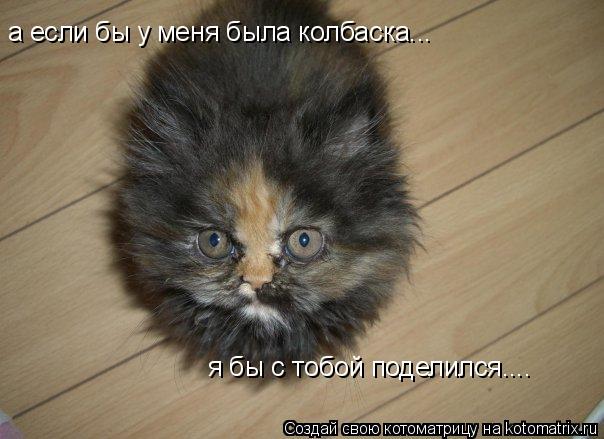 Котоматрица: а если бы у меня была колбаска... я бы с тобой поделился....
