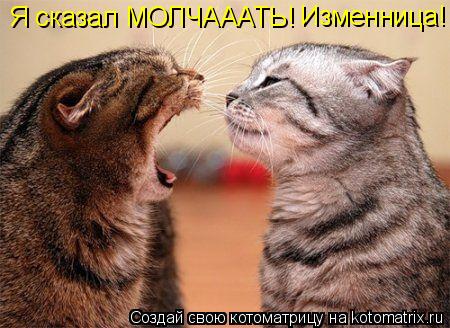 Котоматрица: Я сказал МОЛЧАААТЬ! Изменница!
