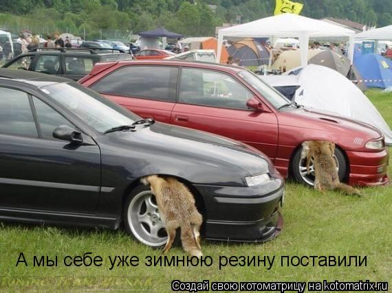Котоматрица: А мы себе уже зимнюю резину поставили
